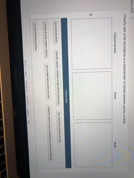 Solved tion 1 of 20 > Classify each of the descriptions as a | Chegg.com