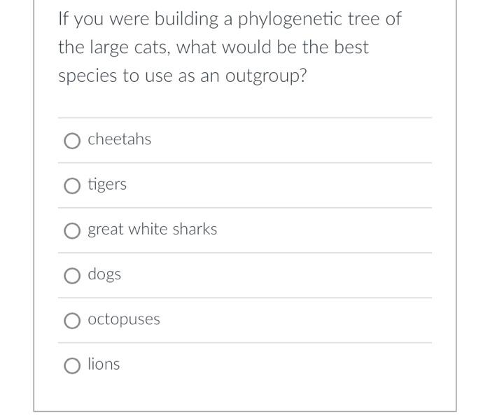 Solved If you were building a phylogenetic tree of the large | Chegg.com