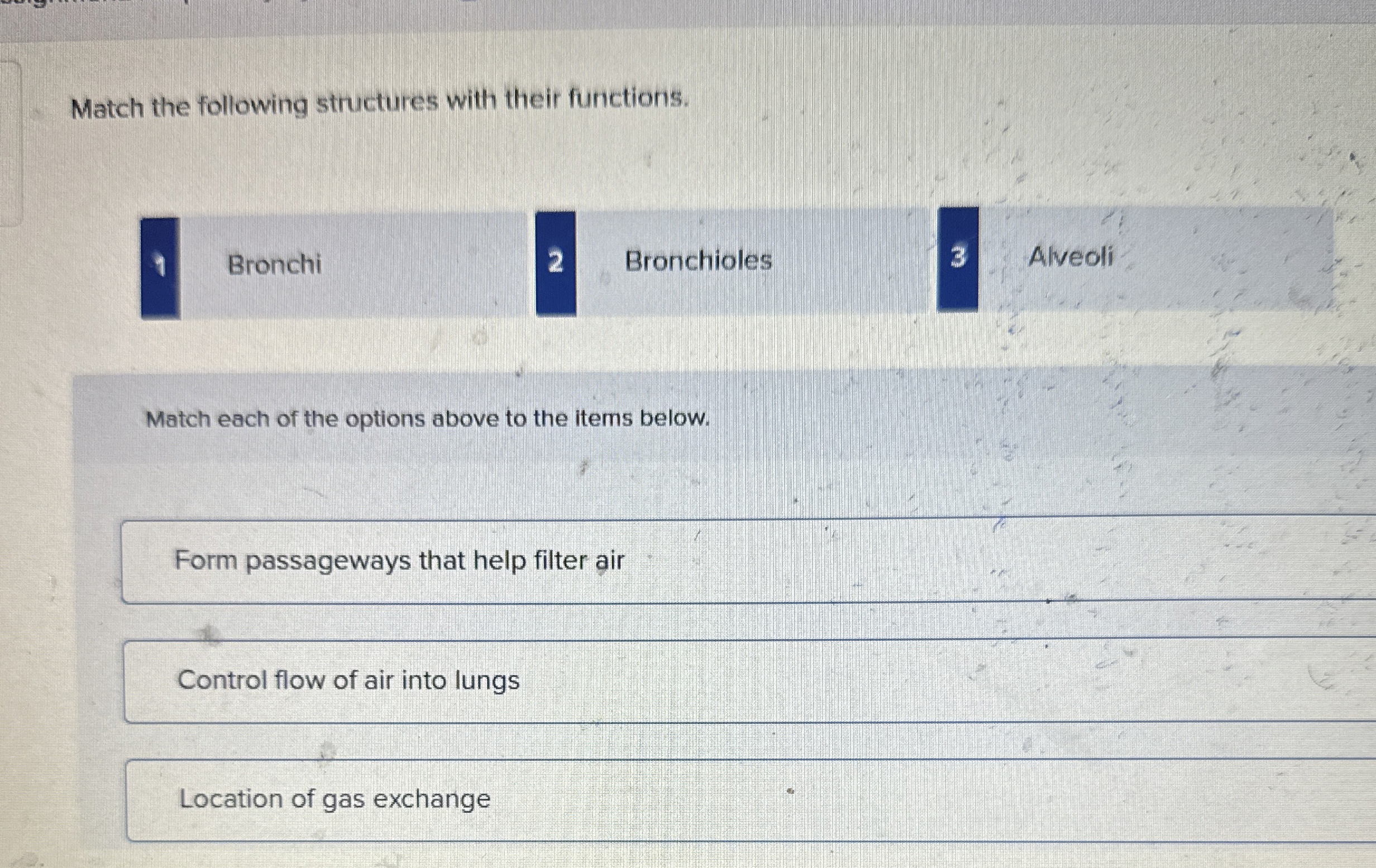 Solved Match the following structures with their functions.1 | Chegg.com