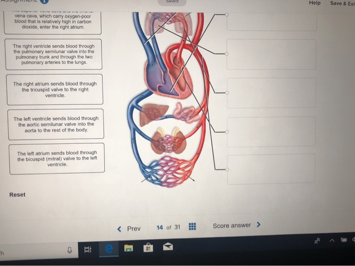 Solved Sequence The Labels Using The Associated Numbers O Chegg Com