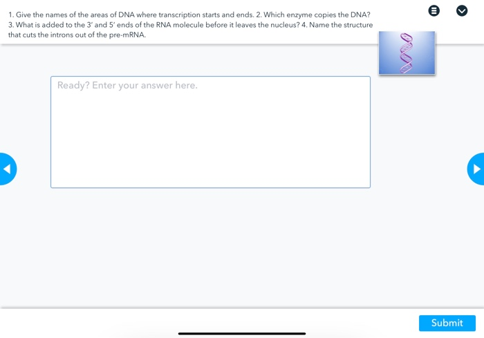 Solved 1 Give The Names Of The Areas Of Dna Where Chegg Com