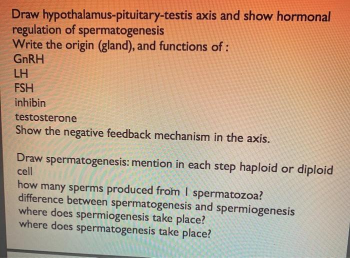 Solved Chapter 26 Reproductive System Somatic Cells And