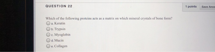 Solved QUESTION 22 1 points Save Ansv Which of the following | Chegg.com