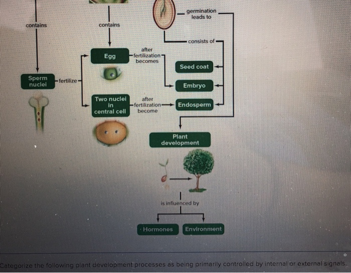 Solved Study The Concept Map Below And Then Answe