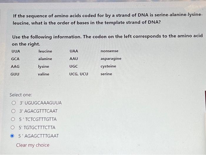 Solved If the sequence of amino acids coded for by a strand | Chegg.com