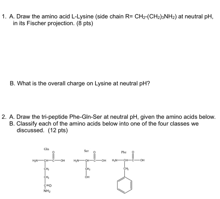 Solved 1. A. Draw the amino acid LLysine (side chain R=