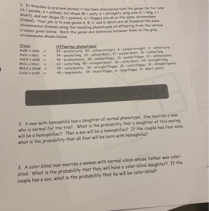 Solved 1 In Woozles A Pretend Animal It Has Been Disco Chegg Com