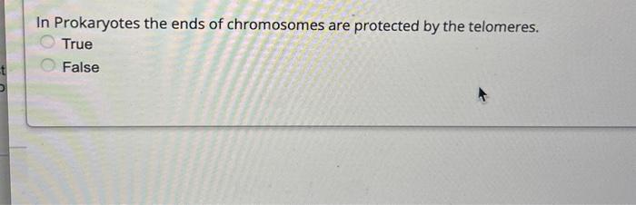 Solved In Prokaryotes the ends of chromosomes are protected | Chegg.com