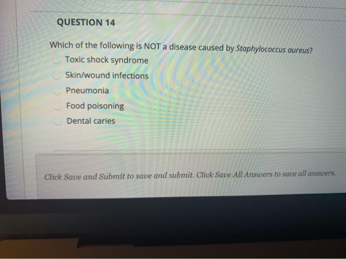 QUESTION 14 Which of the following is NOT a disease caused by Staphylococcus aureus? Toxic shock syndrome Skin/wound infectio