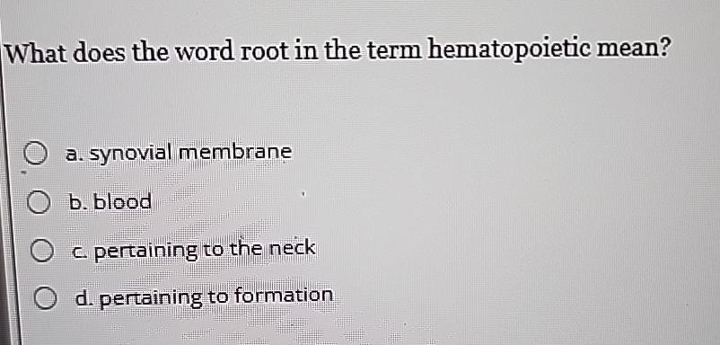 What Does The Word Root In The Term Hematopoietic Mean What Does The Word Root In The Term Hematopoietic Mean