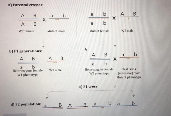 Solved Based On The Class Recombination Frequencies, Which | Chegg.com