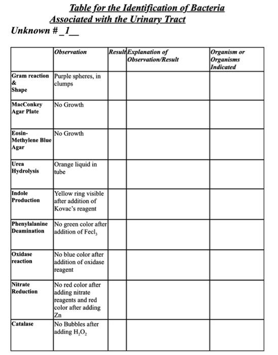 Solved Table for the Identification of Bacteria Associated | Chegg.com