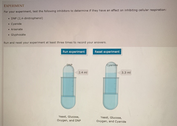 Solved CELLULAR RESPIRATION AND FERMENTATION Putting It - Image