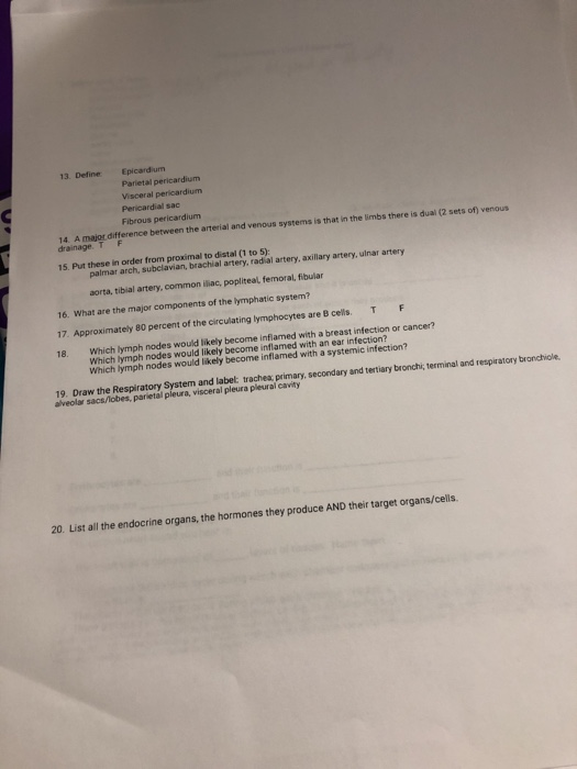 Solved Human Anatomy Unit 4 Review sheet ell ystem Idegene