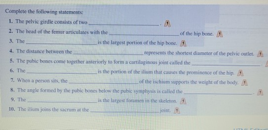 Solved Complete the following statements: 1. The pelvic