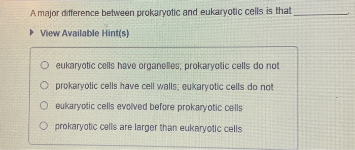 Solved A major difference between prokaryotic and eukaryotic | Chegg.com