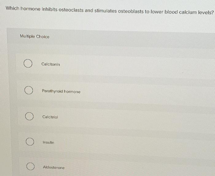 solved-which-hormone-inhibits-osteoclasts-and-stimulates-chegg