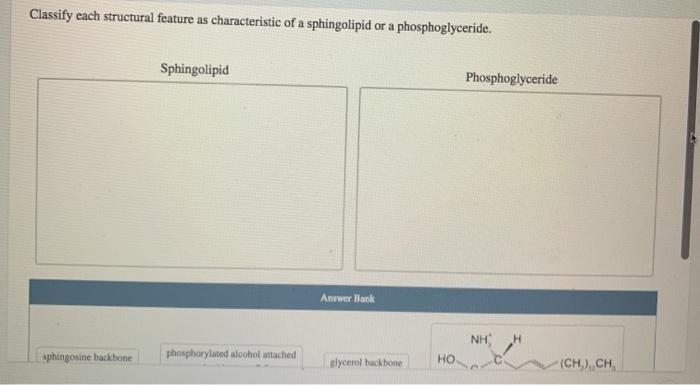 Solved Classify each structural feature as characteristic of | Chegg.com