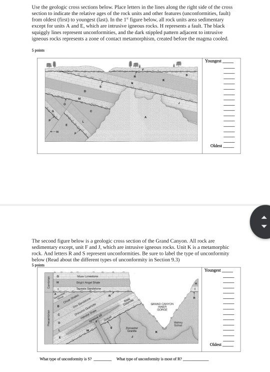 Solved Use the geologic cross sections below. Place letters | Chegg.com