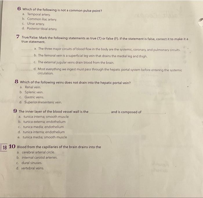 Solved 6 Which of the following is not a common pulse point? | Chegg.com