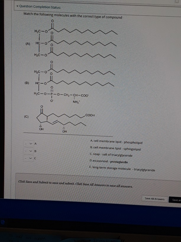 Solved Question Completion Status: Match the following | Chegg.com