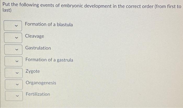 Solved Put the following events of embryonic development in | Chegg.com