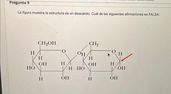 diagrama de disacárido