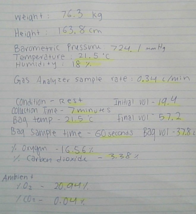 Solved Can someone please hep me calculate VO2, ﻿VCO2, ﻿RER, | Chegg.com