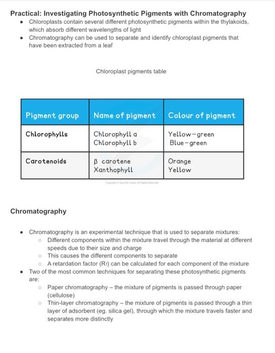 logical hypothesis in research