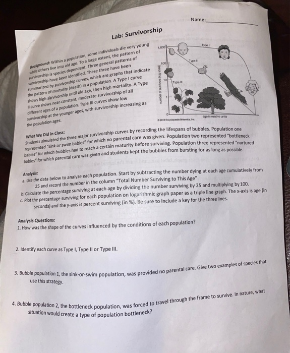 Name Lab Survivorship 100 1901 Background Within a