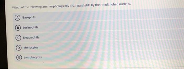 Solved Which of the following are morphologically | Chegg.com