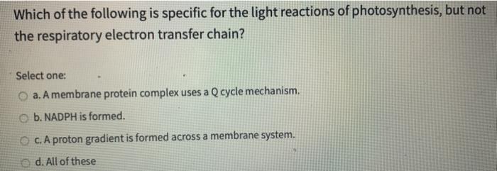 Solved Which of the following is specific for the light | Chegg.com