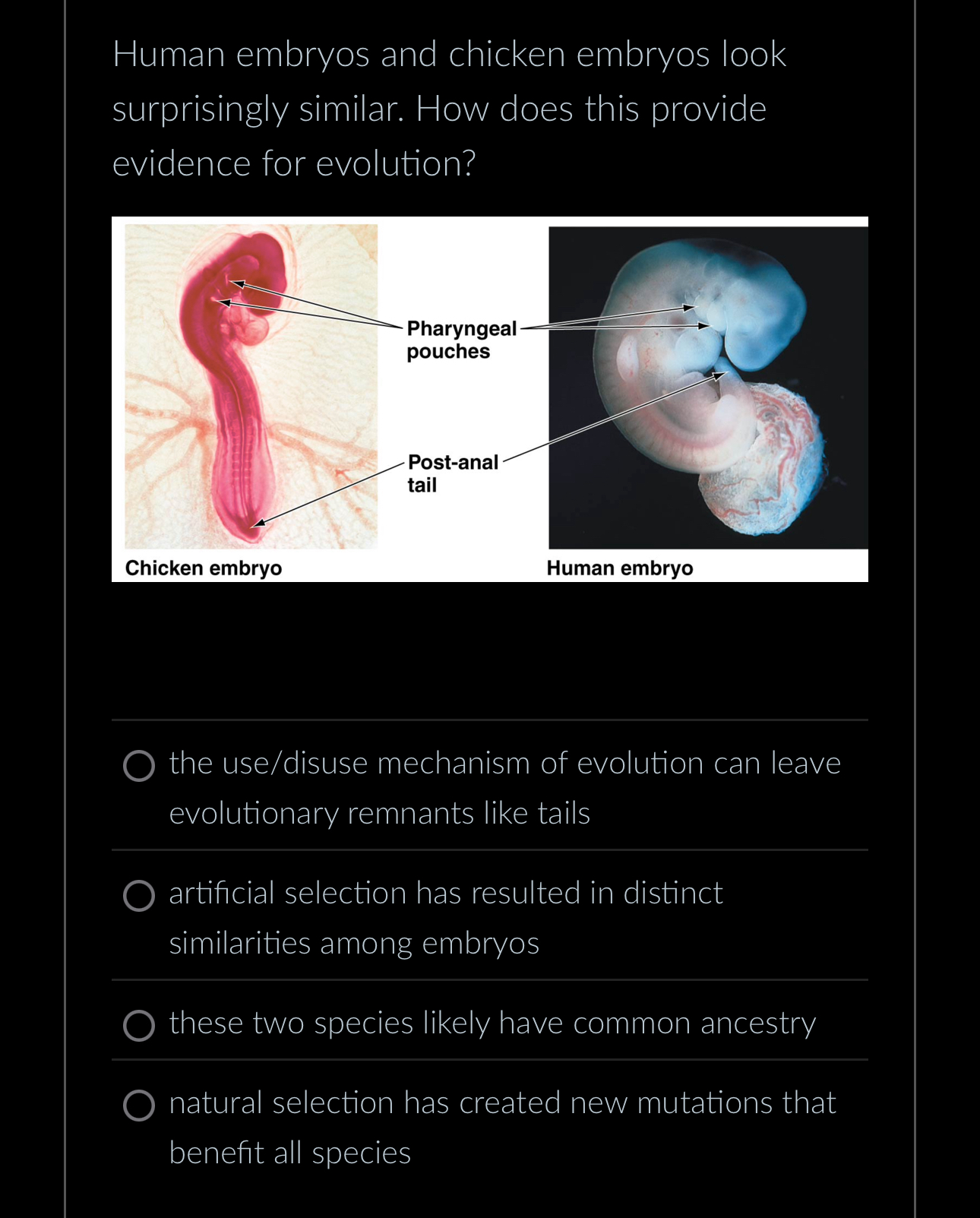 Solved Human embryos and chicken embryos looksurprisingly | Chegg.com