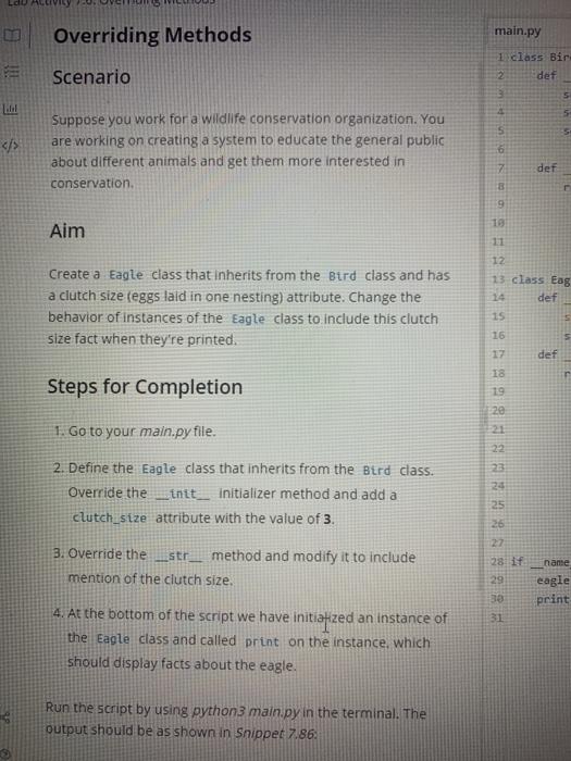 Solved LO Overriding Methods main.py 1 class Bir 2 def | Chegg.com