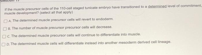 If the muscle precursor cells of the 110 -cell staged | Chegg.com