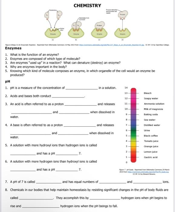 Solved Enzymes 1. What is the function of an enzyme? 2. | Chegg.com