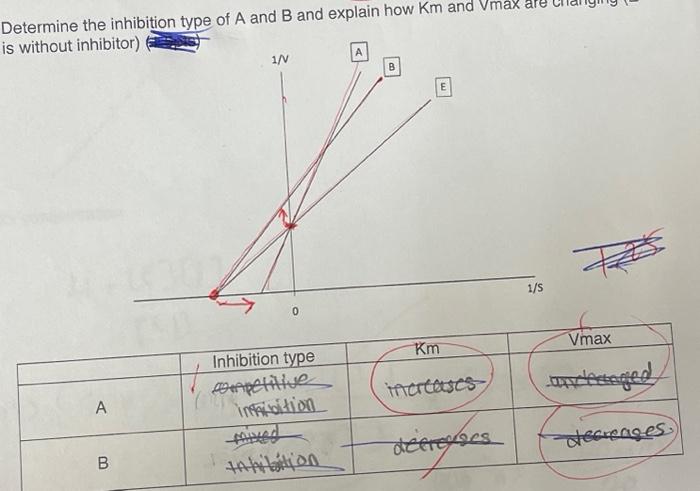 Solved Determine the inhibition type of A and B and explain | Chegg.com