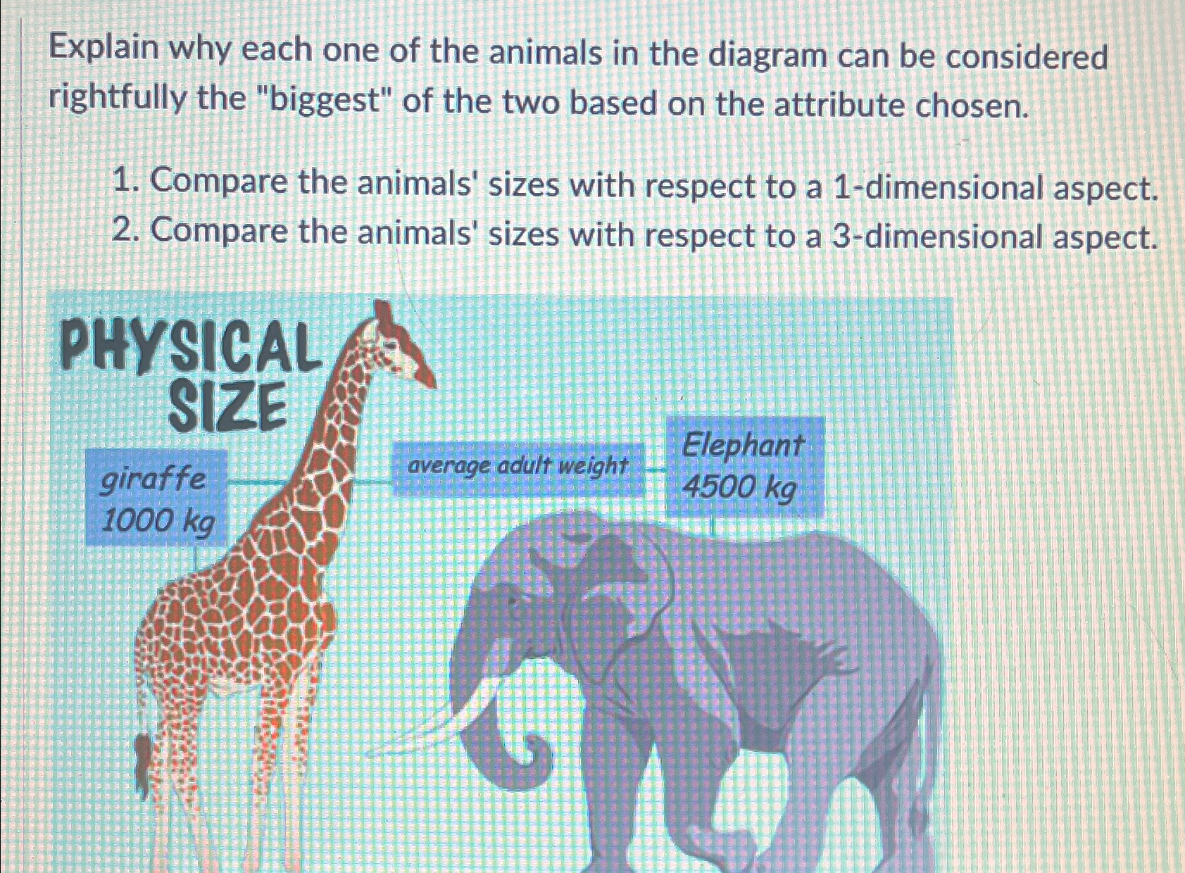 Solved Explain why each one of the animals in the diagram | Chegg.com
