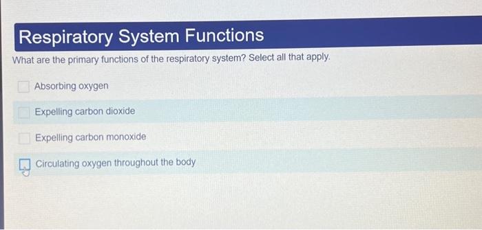 Solved What Are The Primary Functions Of The Respiratory 