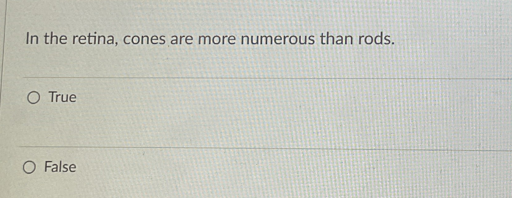 Solved In the retina, cones are more numerous than