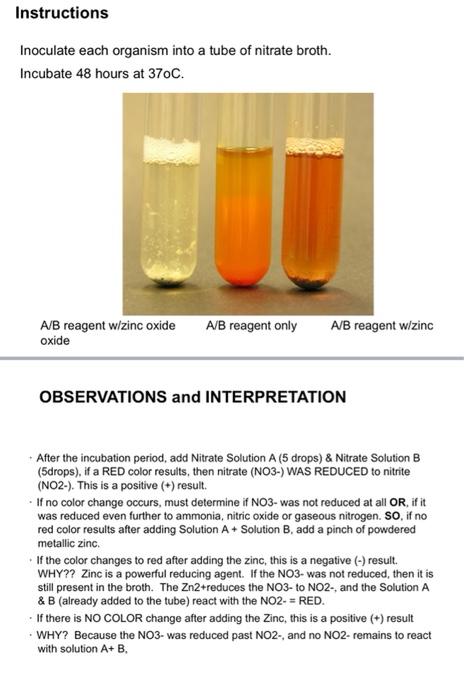 Solved EXPERIMENT 35 - Testing for the Reduction of Nitrate | Chegg.com