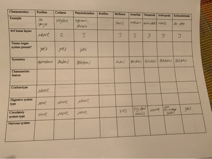 Solved Characteristics Porifera Cnidaria Platyhelminthes | Chegg.com