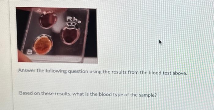 solved-answer-the-following-question-using-the-results-from-chegg