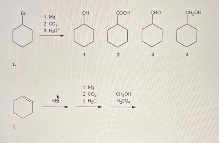 Solved 1. Mg 2. CO2 3. H3O+ 1. 1 2 3 | Chegg.com