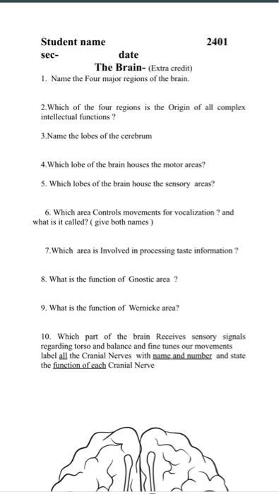 Solved Brain work sheet Match the following 1. Concussion 2. | Chegg.com