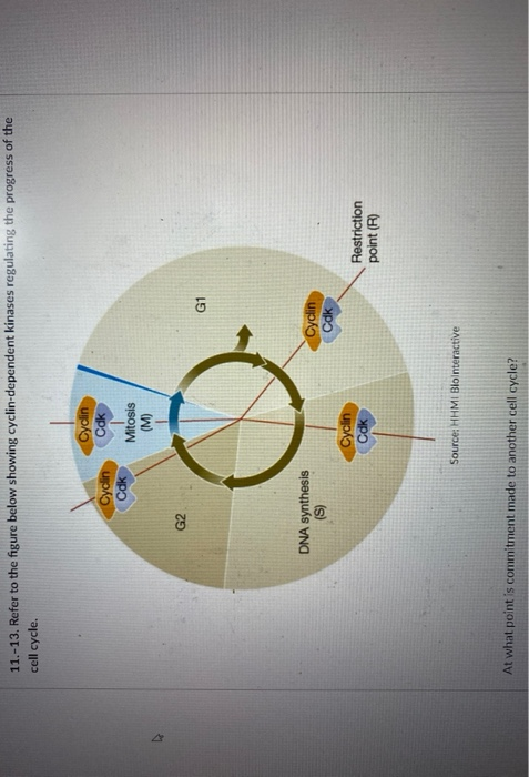 Solved 11.-13. Refer to the figure below showing | Chegg.com