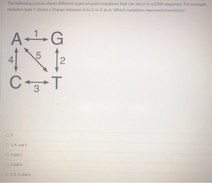 Solved The following picture shows different types of point | Chegg.com