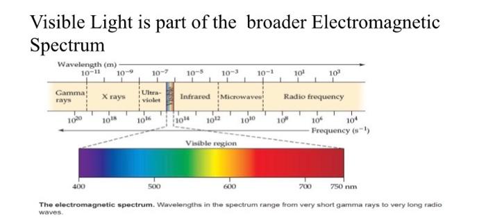 wavelength color chart