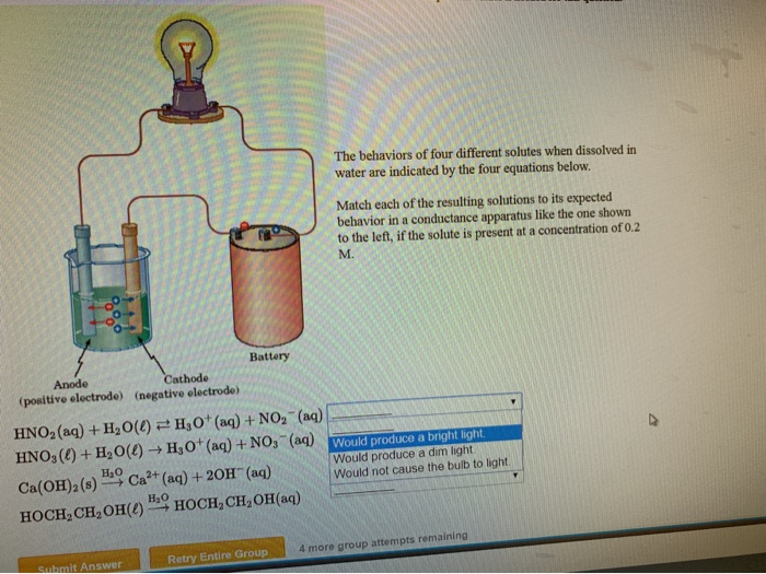 Solved The behaviors of four different solutes when | Chegg.com