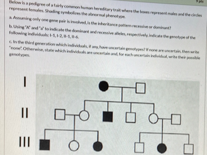 Solved Pts Below Is A Pedigree Of A Fairly Common Human 